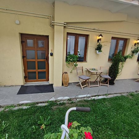 Central Garden Apartments Braşov Esterno foto