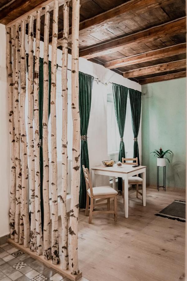 Central Garden Apartments Braşov Esterno foto