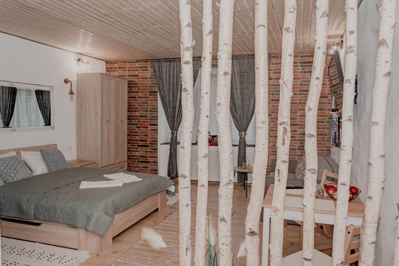 Central Garden Apartments Braşov Esterno foto